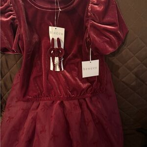 btween Burgundy Velvet Kids Dress